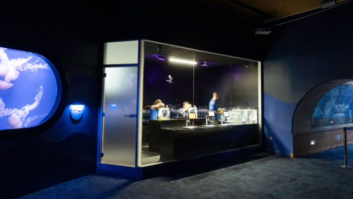 7televlaencia-oceanografic