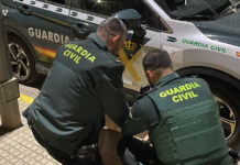 Detenido en Cullera por una plantación de marihuana y peleas ilegales de gallos Guardia Civil inspeccionando unos gallos de pelea