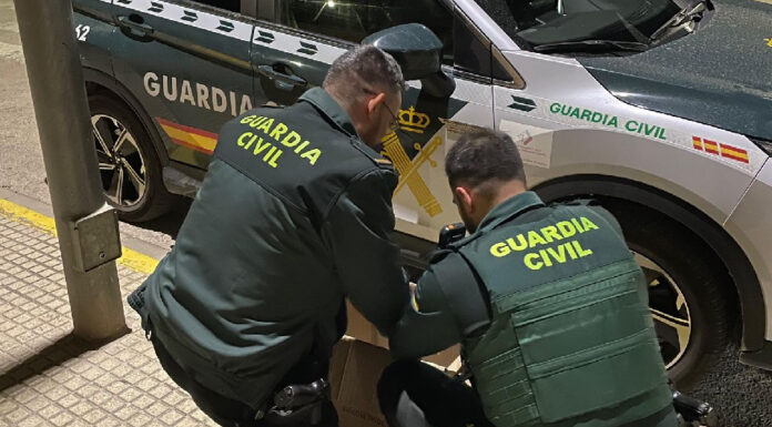 Detenido en Cullera por una plantación de marihuana y peleas ilegales de gallos Guardia Civil inspeccionando unos gallos de pelea