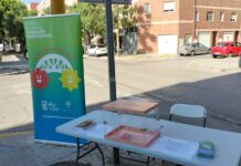 La prevenció i el reforç antiinundacions lideren els resultats de les Inversions Participatives 2026 a la Pobla de Farnals Campanya d'Inversions Participatives de La Pobla de Farnals