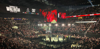 Wow reúne a 14.000 personas y es el mayor evento de la MMA en España