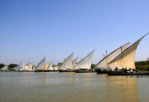 La vela latina vuelve a la Albufera con sus exhibiciones 2026
