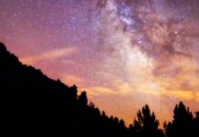 Aras de los Olmos, entre flores y estrellas: la escapada perfecta de primavera Aras de los Olmos, entre flores y estrellas: la escapada perfecta de primavera