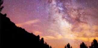 Aras de los Olmos, entre flores y estrellas: la escapada perfecta de primavera