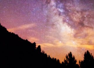 Aras de los Olmos, entre flores y estrellas: la escapada perfecta de primavera