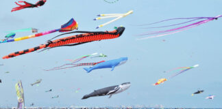 Festival de Cometas de València