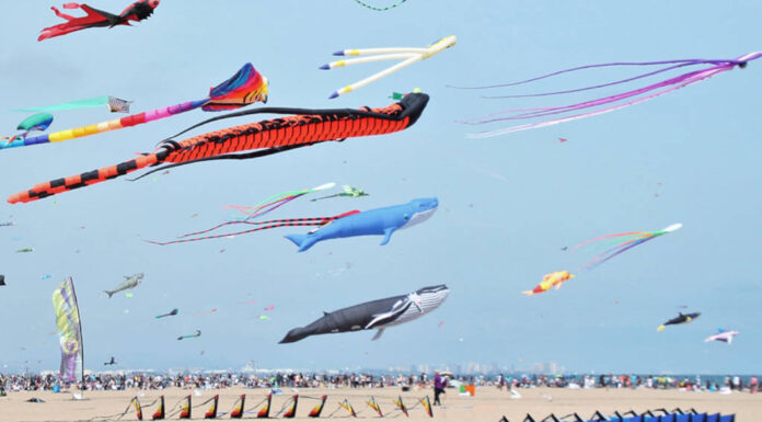 Festival de Cometas de València