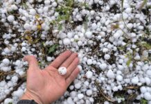 El pedrisco deja más de 37.000 hectáreas afectadas y daños que podrían alcanzar los 50 millones