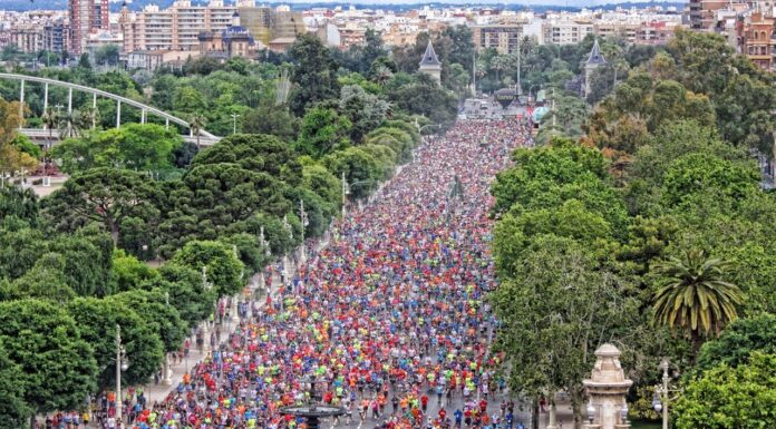 Más de 9.000 corredores esperan en la Volta a Peu de València este domingo Más de 9.000 corredores esperan en la Volta a Peu de València este domingo