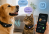¿Podremos hablar con nuestras mascotas? Así es el revolucionario invento que la IA está gestando ¿Podremos hablar con nuestras mascotas? Así es el revolucionario invento que la IA está gestando