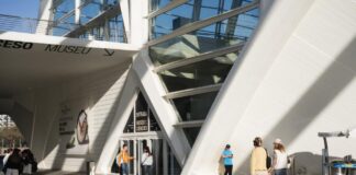 Actividades gratis en el Museu de les Ciències para celebrar el Día de los Museos