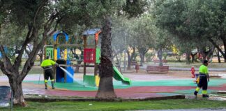 Campanya de neteja intensiva de Paterna