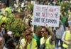 Las consecuencias de la huelga educativa: “Ningún docente quiere que su alumnado salga mal parado en la PAU” Profesores en huelga durante una manifestación educativa en València por la educación pública