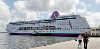 Qué es el norovirus: el brote que deja a 1.700 personas confinadas en un crucero rumbo a España