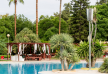 Las piscinas de Valencia ya tienen fecha de apertura: horarios, precios y novedades de este verano Las piscinas de Valencia ya tienen fecha de apertura: horarios, precios y novedades de este verano