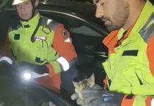 Agónico rescate de un gato atrapado bajo un coche