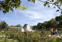 Estos son los mejores planes para hacer este fin de semana en València