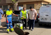 Albal i Aqualia inicien la campanya anual de control de plagues en el clavegueram municipal