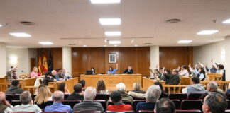 Quart de Poblet disposarà d’una línia llançadora que connectarà amb el Barri del Crist després d’anys de reivindicacions a la Generalitat Valenciana Votació d’una moció per a reclamar el servici de llançadora en la sessió plenària de març de 2026