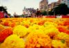 Feria de Julio 2026 en València: programación, actividades y fechas clave Feria de Julio 2026 en València: programación, actividades y fechas clave