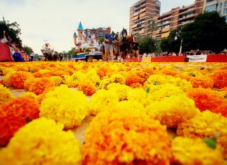 Feria de Julio 2026 en València: programación, actividades y fechas clave