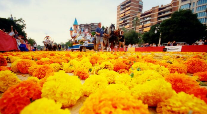 Feria de Julio 2026 en València: programación, actividades y fechas clave Feria de Julio 2026 en València: programación, actividades y fechas clave