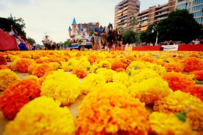 7televalencia-batalla-flores-scaled Feria de Julio 2026 en València: programación, actividades y fechas clave