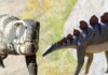 El mapa oculto de los dinosaurios valencianos: los lugares donde aún se pueden ver huellas y fósiles