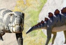 El mapa oculto de los dinosaurios valencianos: los lugares donde aún se pueden ver huellas y fósiles