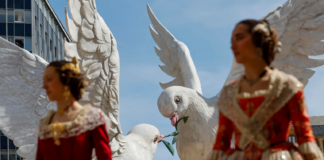 Estos son los listados provisionales por sectores de las aspirantes a Falleras Mayores de València 2027