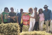 Meliana celebra la 5a Fira de la Tomata amb una setmana d’actes del 16 al 20 de juny