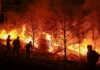 Cuatro incendios en un día: Valencia en alerta ante un verano de calor extremo Imagen de un incendio forestal