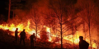 Imagen de un incendio forestal