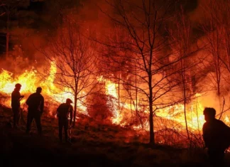 Imagen de un incendio forestal