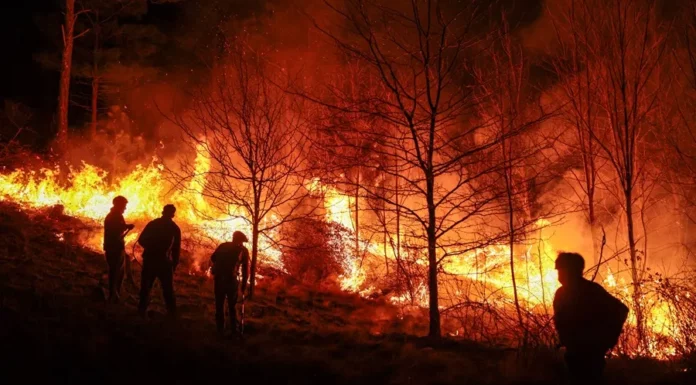 Imagen de un incendio forestal