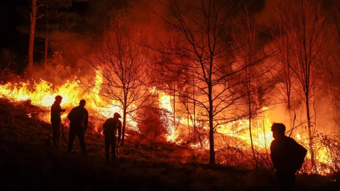 Imagen de un incendio forestal