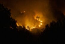 Stop al Foc: La Generalitat despliega cerca de 1.700 efectivos contra los incendios forestales este verano Stop al Foc