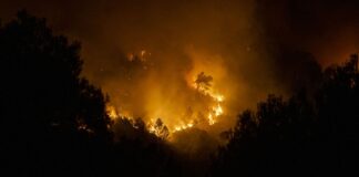 Stop al Foc