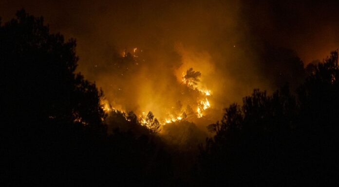 Stop al Foc: La Generalitat despliega cerca de 1.700 efectivos contra los incendios forestales este verano Stop al Foc