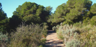La dehesa del Saler