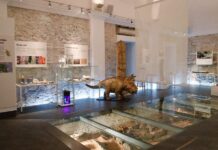 Los vecinos de este pueblo valenciano guardaban fósiles de dinosaurios en casa sin saberlo: así nació un museo referente en la Comunitat Museo Paleonológico de Alpuente