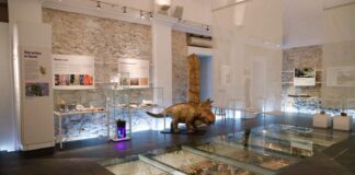 Museo Paleonológico de Alpuente