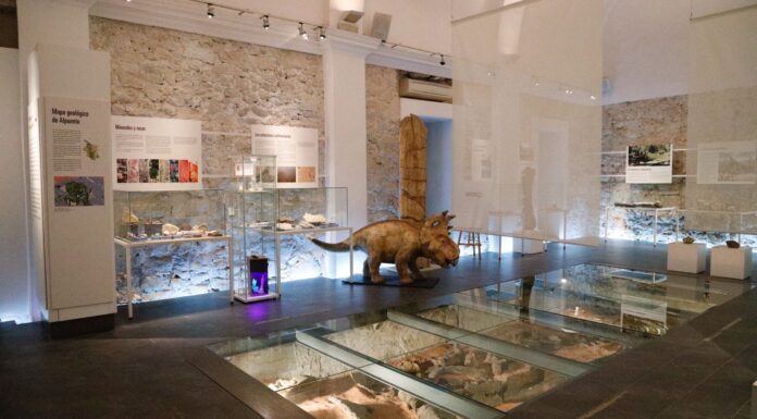 Museo Paleonológico de Alpuente