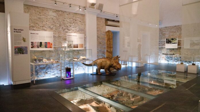 7televalencia museo alpuente Museo Paleonológico de Alpuente