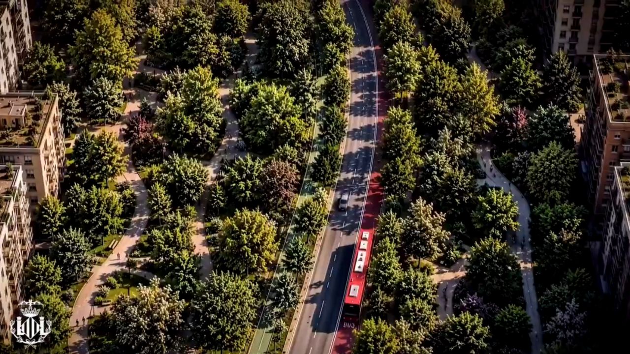 Carriles bus, bici y zonas verde, así será el paseo García Lorca
