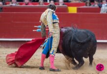 Valencia reúne a las dos grandes figuras del toreo mundial en el 9 d’Octubre