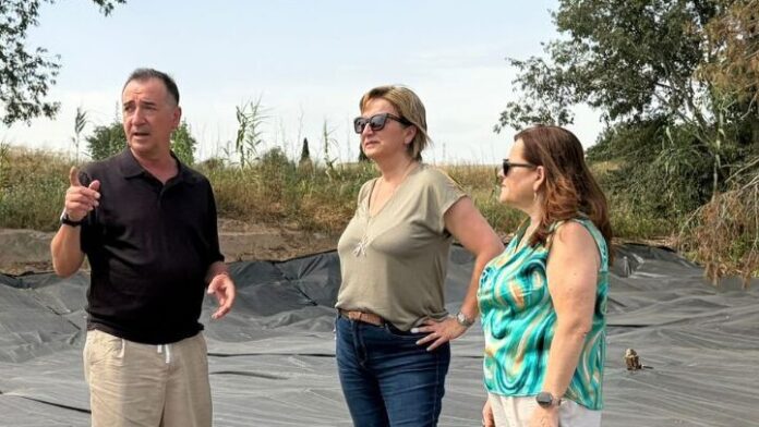 Dana obras