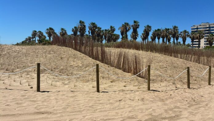 Playa de Els Peixets, Alboraya