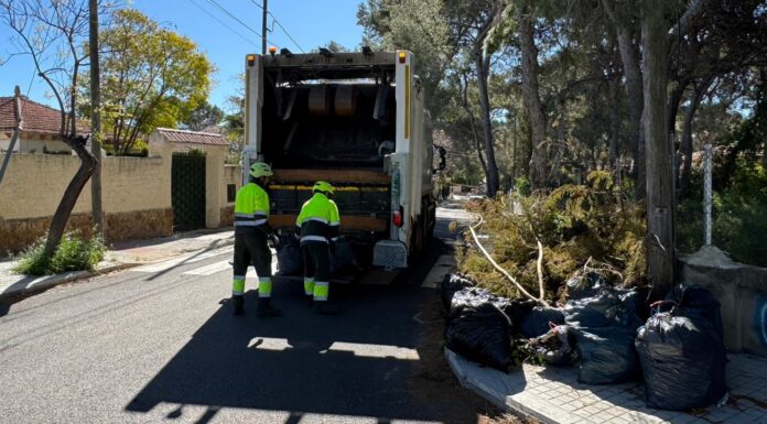 Paterna atén prop de 3.000 servicis de recollida de poda a La Canyada en dos mesos