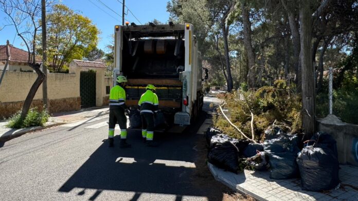 Servicio de recogida de poda en La Canyada en Paterna